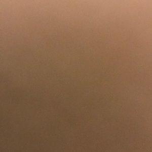 Meet your Posher, Deanna